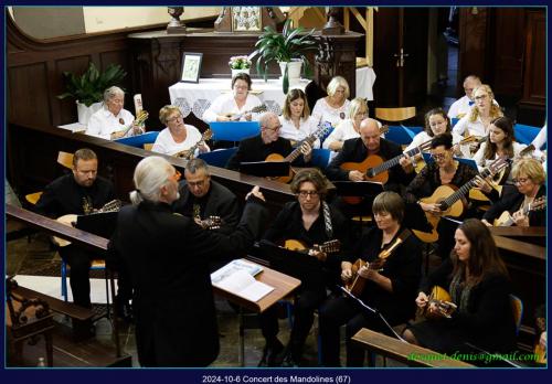 462306432 559849229726064 1675108346649592168 n